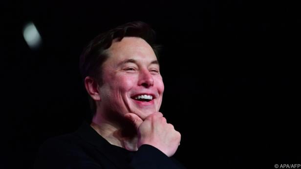 Tesla-Chef Elon Musk im Fokus der Linksfraktion