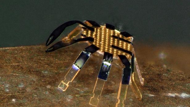 Mini-Roboter in Form einer Krabbe