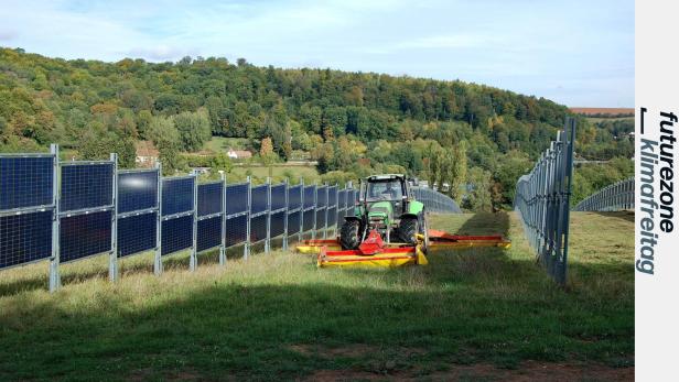 Traktor fährt zwischen Reihen vertikaler Photovoltaikmodule auf einem Feld