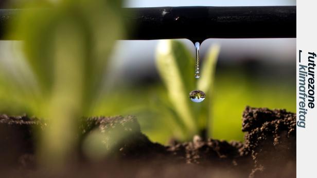 Künftig ist mehr Wasserzufuhr notwendig, um Ernteerträge zu sichern – etwa durch Tropfbewässerung