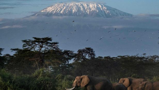 Der Kilimandscharo ist der höchste Berg Afrikas.