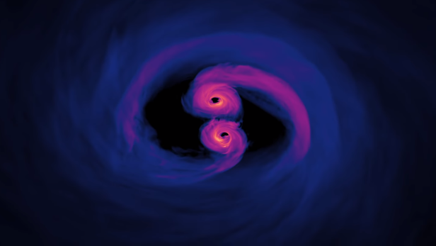 Ein Model zeigt, wie sich zwei Schwarze Löcher umrunden.