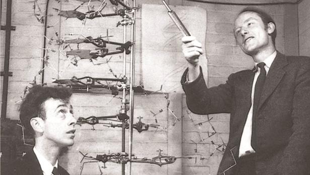 Francis Crick und James D. Watson