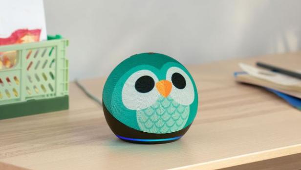 Den Amazon Echo Dot für Kinder.