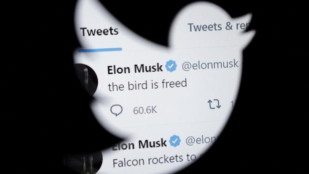 Twitter-Logo und Elon Musk