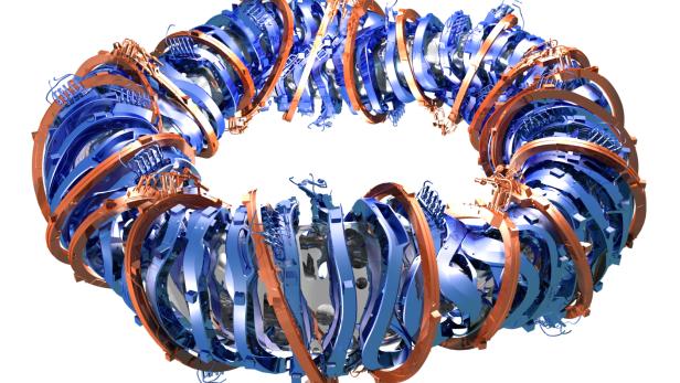 Beim Stellarator-Reaktor wie dem Wendelstein 7-X erzeugen außen angeordnete Spulen ein Magnetfeld. Beim Stellarator-Reaktor wie dem Wendelstein 7-X erzeugen außen angeordnete Spulen ein Magnetfeld.