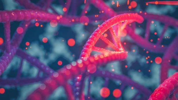 Ein DNA-Abschnitt ist in pink eingefärbt.