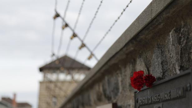 Zum 70. Gedenktag zur Beendigung des Zweiten Weltkriegs wurde die Website derKZ-Gedenkstätte Mauthausen gehackt
