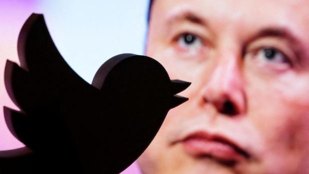 Musk sperrte einige Journalist*innen auf Twitter.
