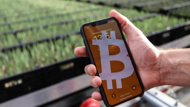 NETHERLANDS-ECONOMY-AGRICULTURE-CRYPTO