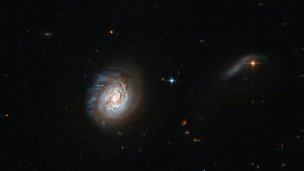 Die Galaxie MCG-03-04-014 vom Hubble Teleskop fotografiert