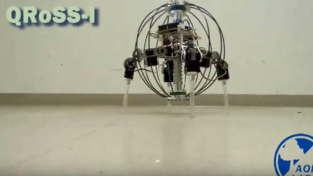 Der Roboter QRoSS kann rollen und laufen