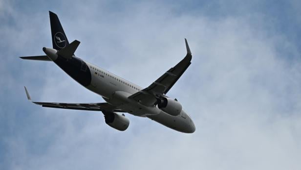 Lufthansa-Passagiermaschine musste wegen einer Wespe umkehren