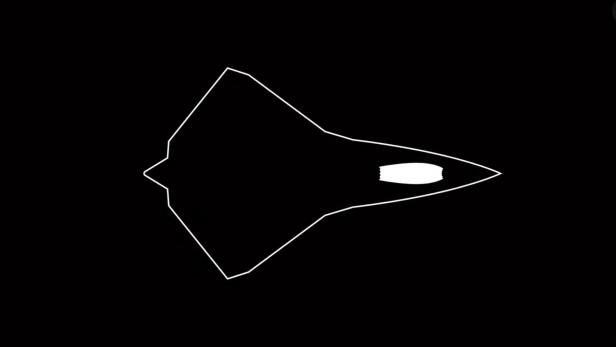 Silhouette von NGAD Kampfjet-Desgin von Skunk Works, der Entwicklungsabteilung von Lockheed Martin