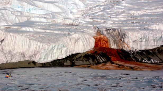 Blood Falls am Taylor-Gletscher in der Antarktis