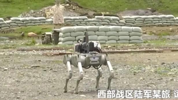 Screenshot zeigt Roboterhund mit Sturmgewehr