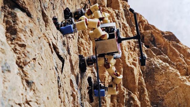 Der Roboter Lemur des NASA-Labors JPL kann an Felswänden entlang laufen