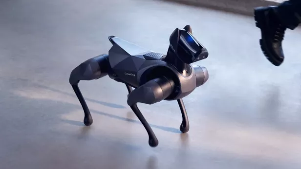 Xiaomi hat seinen 2. Robo-Hund vorgestellt.
