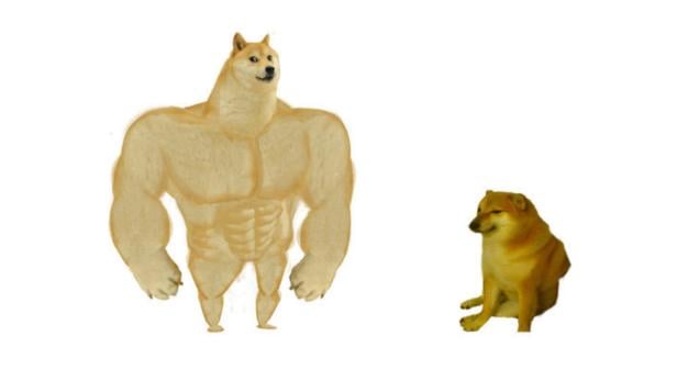 Beide tot: Kabosu (lings) und Balltze (rechts) sind die berühmtesten Meme-Hunde.