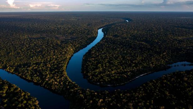 FILES-BRAZIL-GABON-ENVIRONMENT-NATURE-FOREST-SUMMIT