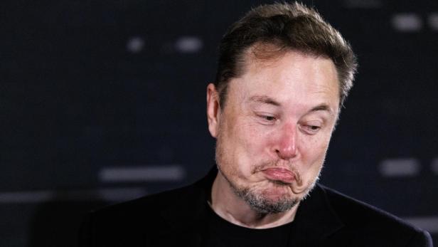 Elon Musk beim KI-Gipfel in England.