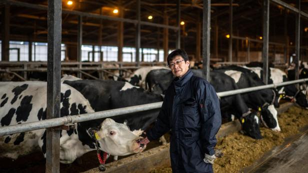 In Japan sammelt sich in den Kuhställen von Bauern wie Eiji Mizushita sehr viel Mist. Ein Start-up hat nun eine neue Verwendung dafür gefunden.
