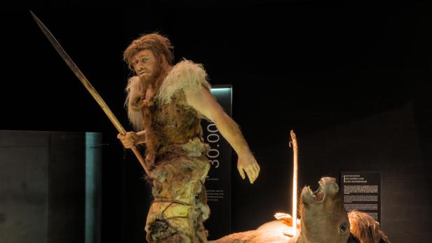 Darstellung eines Neandertaler-Jägers im Gallo-Römischen Museum Tongern, Belgien