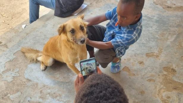 Hund in Tansania wird dokumentiert