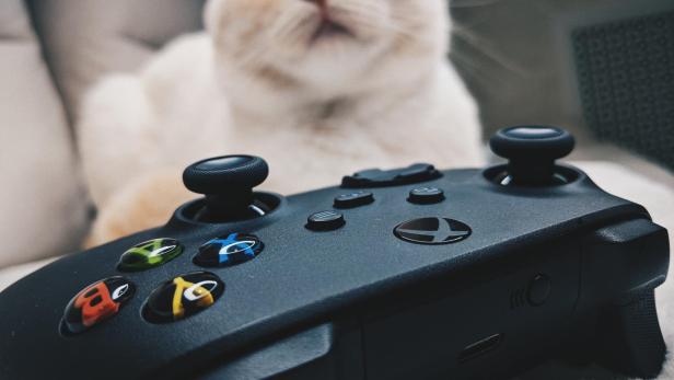 Xbox-Controller mit Katze im Hintergrund