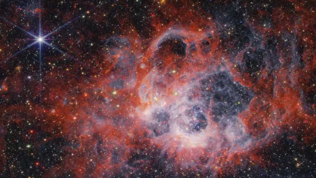 Eines der vom James Webb Space Telescope aufgenommenen Bilder.