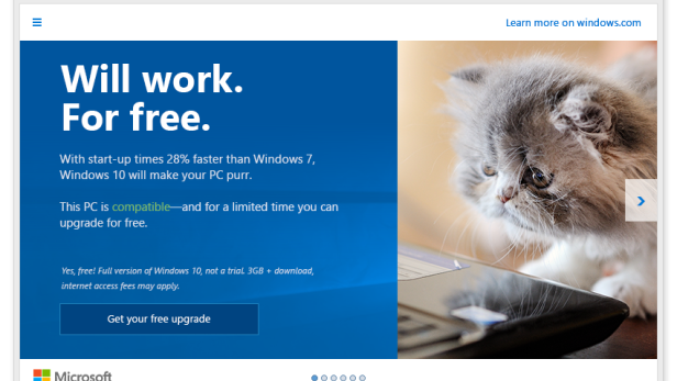 Microsoft neue Taktik, um User zum Upgrade auf Windows 10 zu bewegen: Katzen