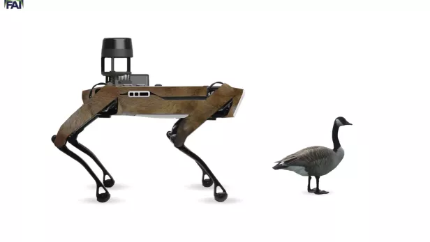 Eine Darstellung zeigt den Roboter, der die Tiere vom Flughafen verscheuchen soll. 