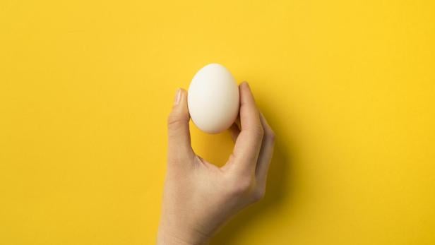 Symbolbild: Ein Ei