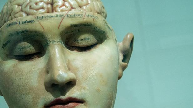 Medizinische Puppe mit Gehirn