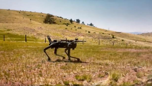 US-Marines statten Roboter-Hunde mit Sturmgewehren aus