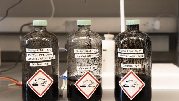 Mit Biokohle, u.a. aus Kuhmist, wird Wasserstoff gewonnen