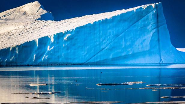 Virus gigantes encontrados en la capa de hielo de Groenlandia