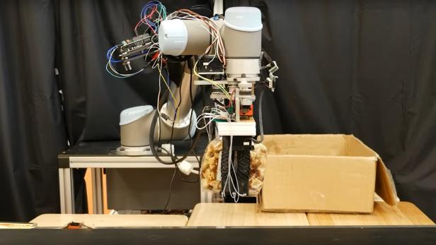 Einpack-Roboter beim Verstauen von eingekauften Artikeln in Supermarkt