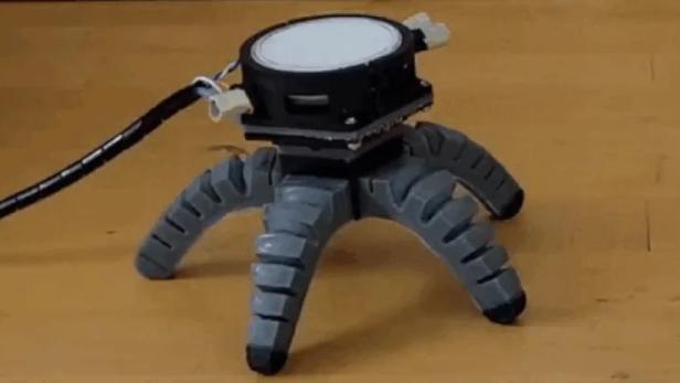 Bei einem Experiment steuerte das Myzel einen mehrbeinigen Roboter. 