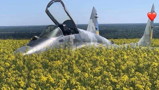 MiG-29 im Rapsfeld