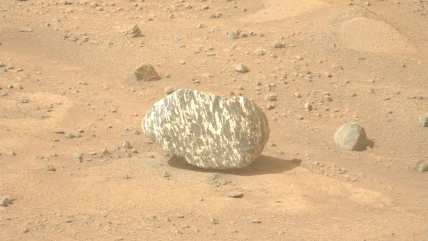 So ein Stein wurde auf dem Mars noch nie gesehen.