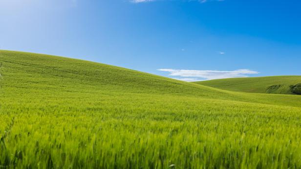 Windows XP Hintergrundbild