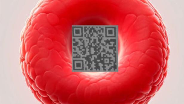 1kleinster-qr-codecopy.jpg