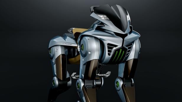 Kawasaki Corleo Kawasaki Corleo