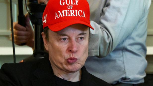FILE PHOTO: U.S. President Trump holds cabinet meeting at the White House in Washington Elon Musk