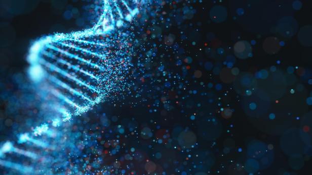 DNA-Struktur (Symbolbild).
