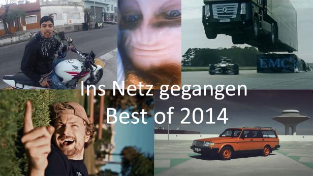 Hier die Top 20 der besten &quot;Ins Netz gegangen&quot;-Videos des Jahres 2014 (aus Sicht der Redaktion) im Countdown: