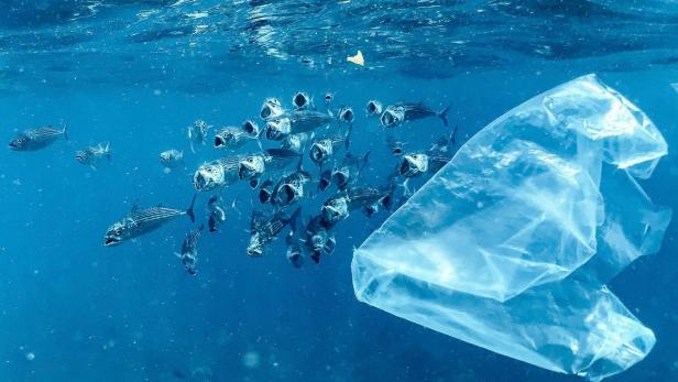 Symbolbild Plastik Symbolbild Plastik