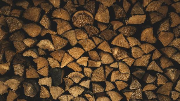 Symbolbild Holz 