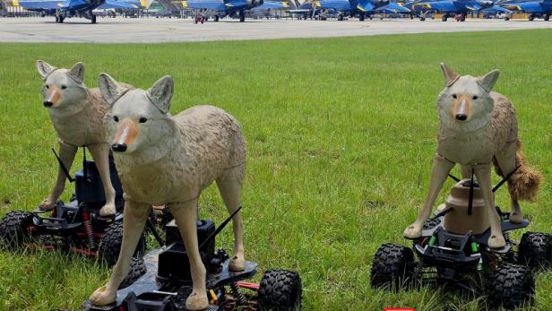 Coyote Rovers Coyote Rovers